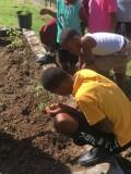 Growing the gardening program at the Sunshine School